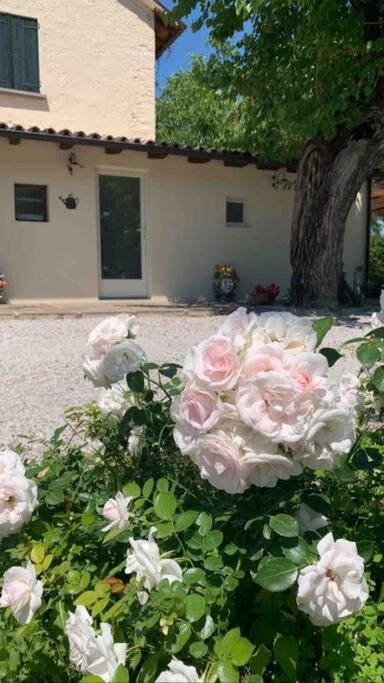 Casa Bellona Montebelluna Exterior photo